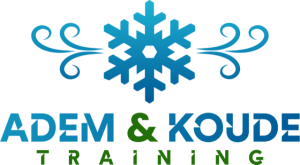 logo van adem en koude training. een sneeuwvlok in blauw met de tekst adem & koude training